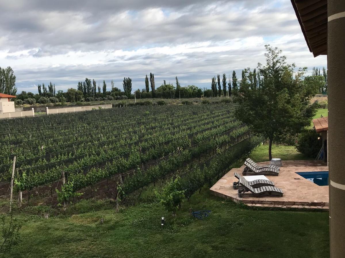 Chaglasian Wine & Suites Сан Рафаел Екстериор снимка